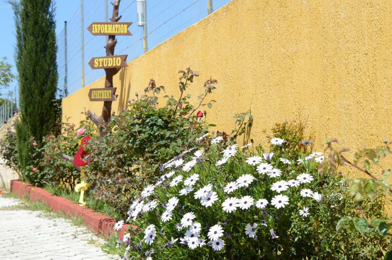 Acqui Villa Argostoli  Luaran gambar